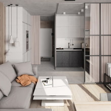 Caractéristiques de la conception de l'appartement Euro-2 pièces-4