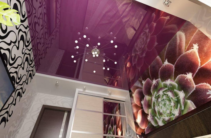 plafond violet