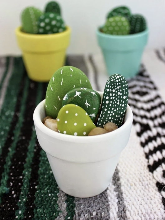 Cactus en galets