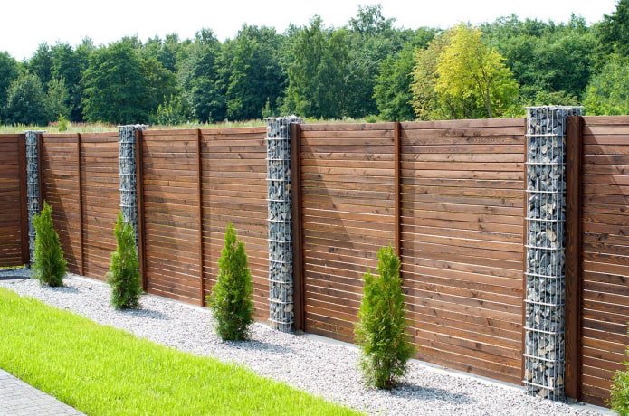 Une clôture vierge faite de planches