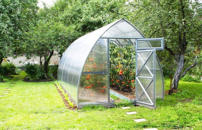 serre de tomates à la campagne