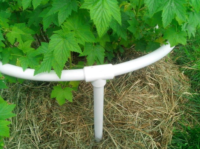 supports for bushes