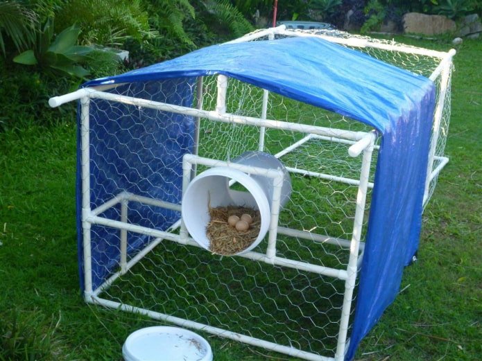 aviary