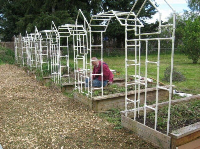 trellis