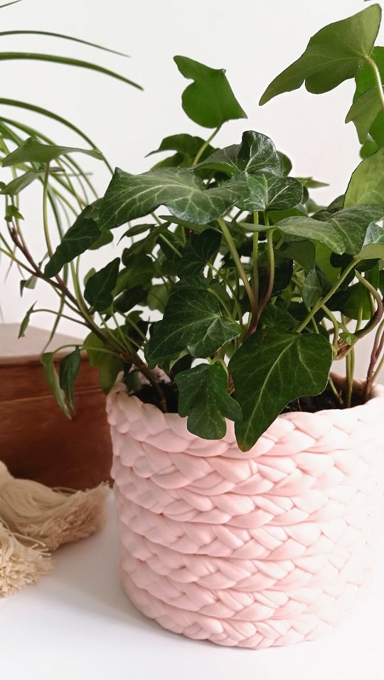 Pot de fleurs prêt à l'emploi