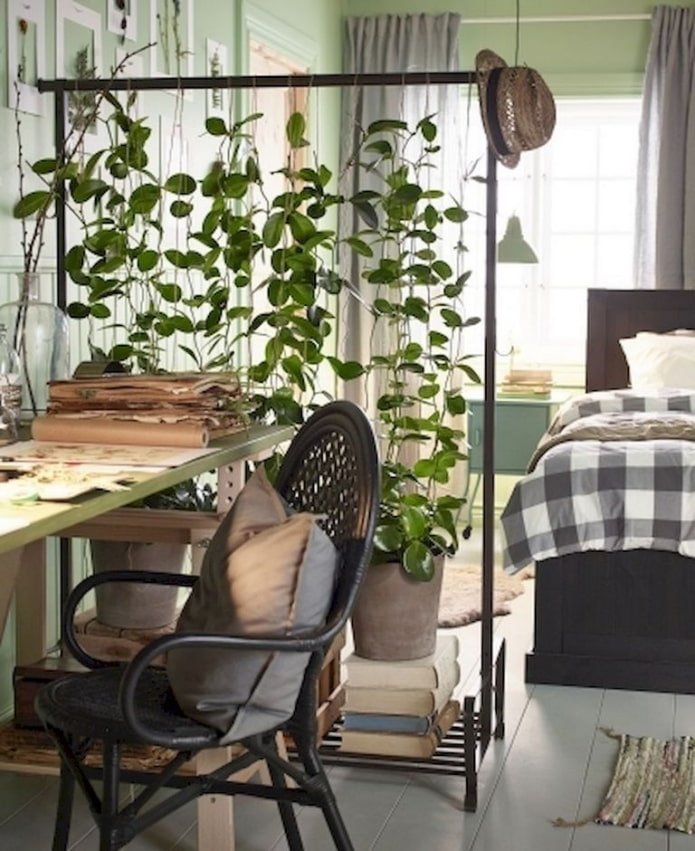 Cintre de sol avec plantes