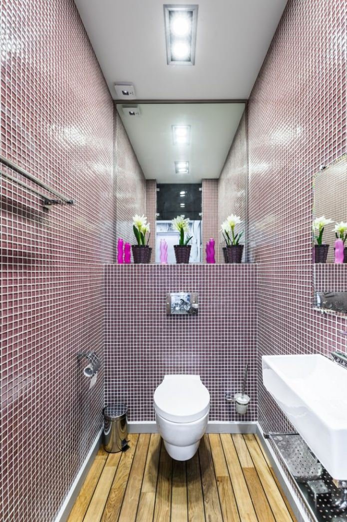 Toilettes violettes