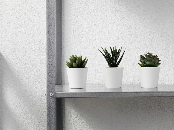 plantes grasses en plastique