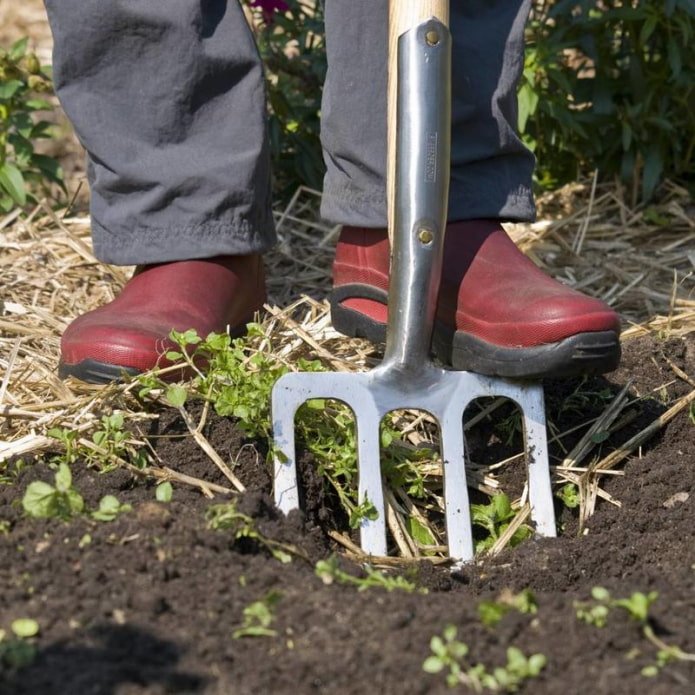 digging