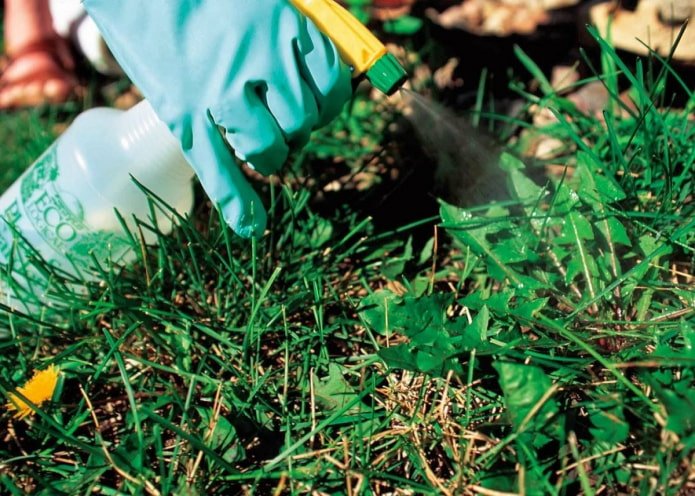 Savon herbicide
