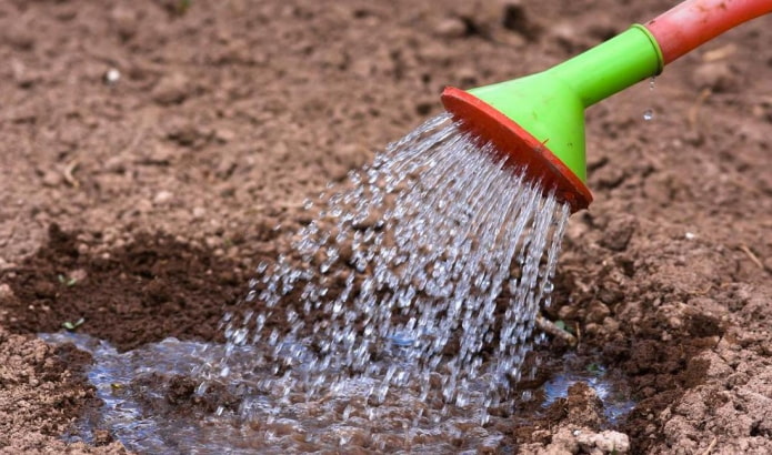 Eau bouillante