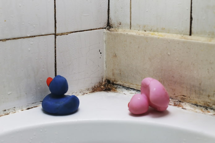 Comment éliminer la moisissure dans la salle de bain ?