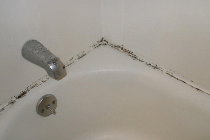 mold