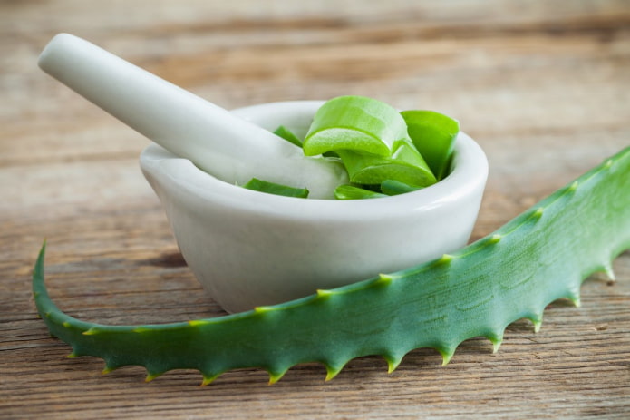 aloe juice