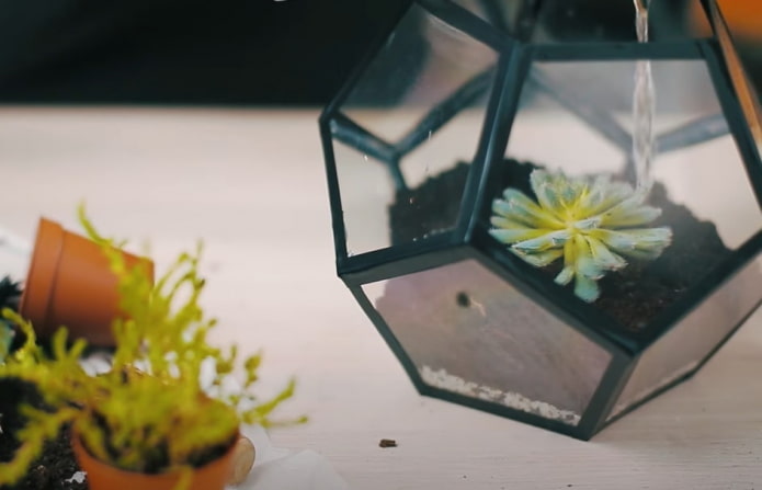 humidification du sol
