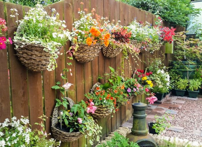 Pots de fleurs sur une clôture