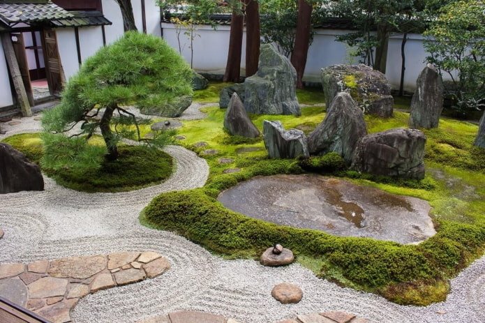 Rock Garden