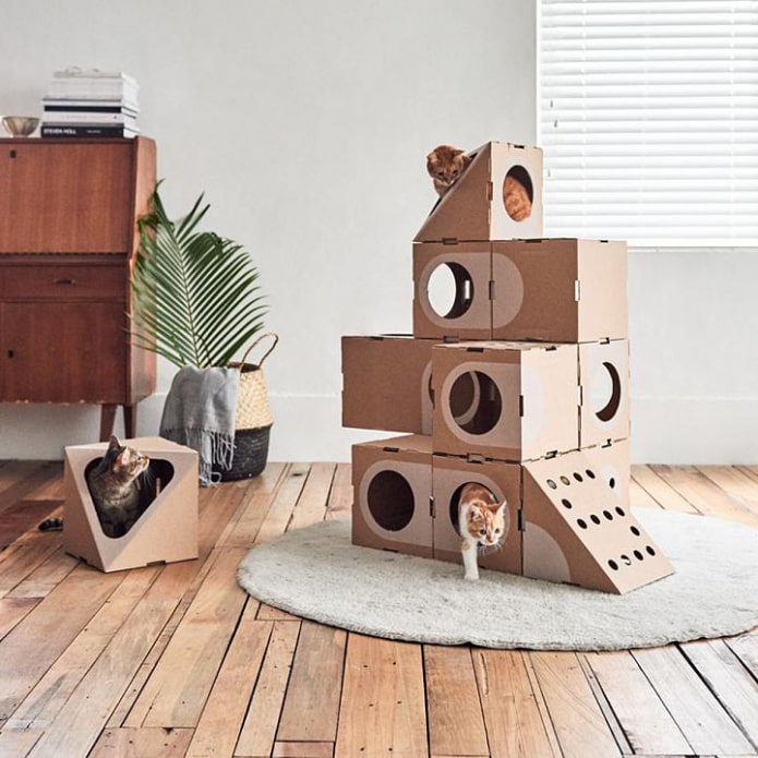 maison pour code
