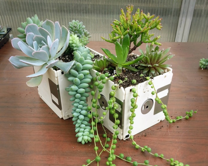 Pot de fleurs en disquettes blanches