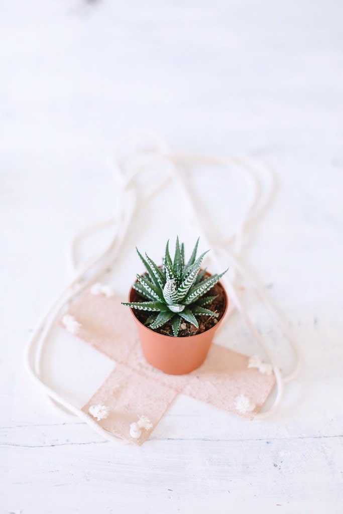 Pot de fleurs en cuir