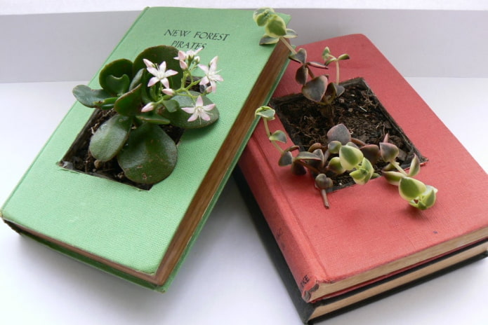 Livre en pot