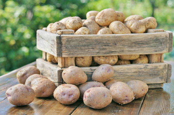 Pommes de terre