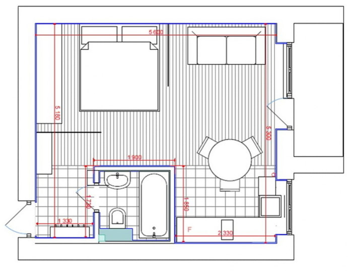 appartement d'une pièce rénové
