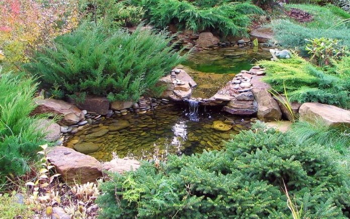 Étang artificiel avec conifères et cascade