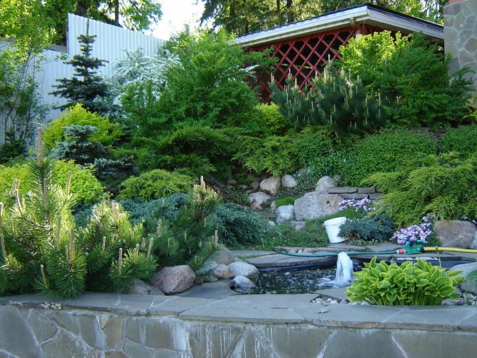 Étang artificiel avec conifères et fontaine