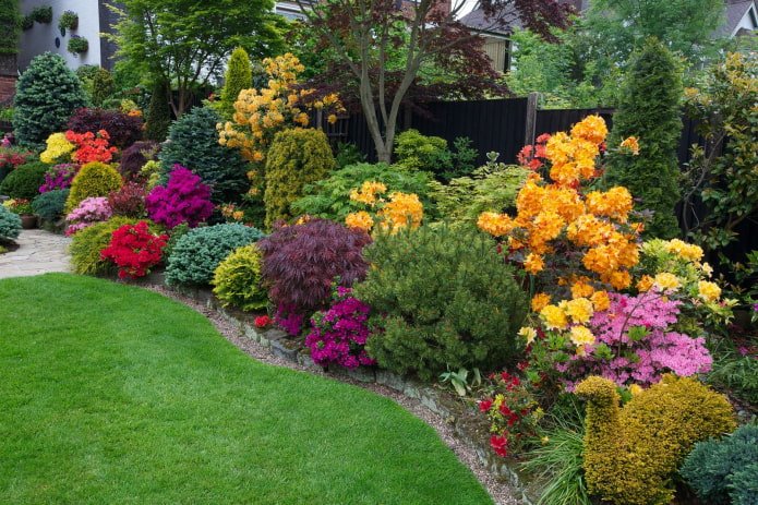 mixborder with conifers and flowers