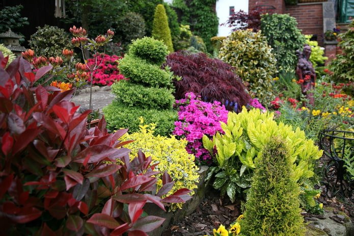 flowerborder with trimmed conifers and flowers