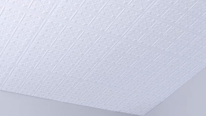 plafond fini