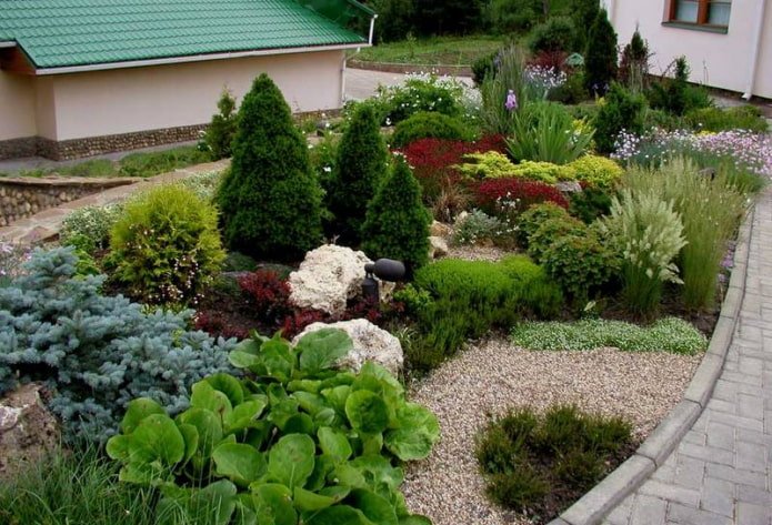 parterre de conifères et vivaces
