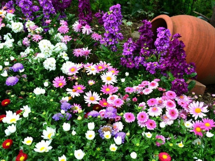 A flowerbed of annuals with a jar