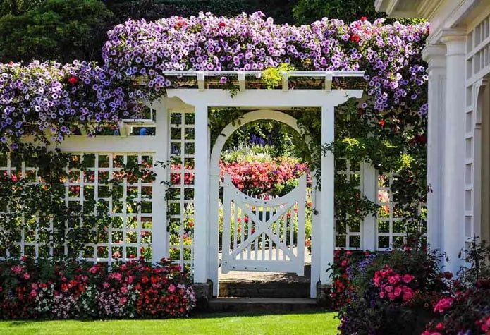 arche de pergola avec parterre