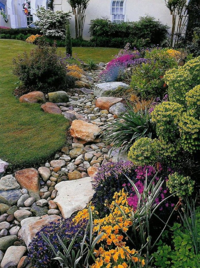 ruisseau sec avec fleurs
