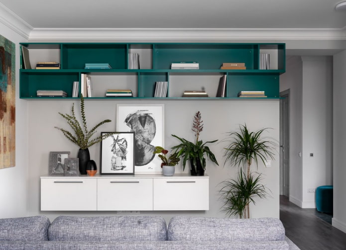 Color scheme of bookshelves in the interior