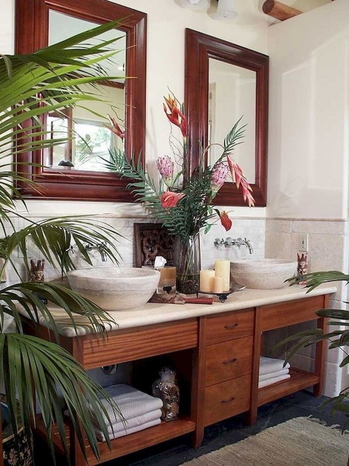 Plantes dans la salle de bains