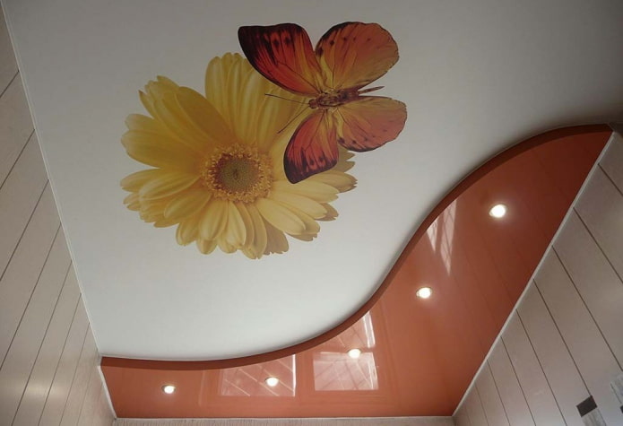 Structure de plafond combinée avec impression photo