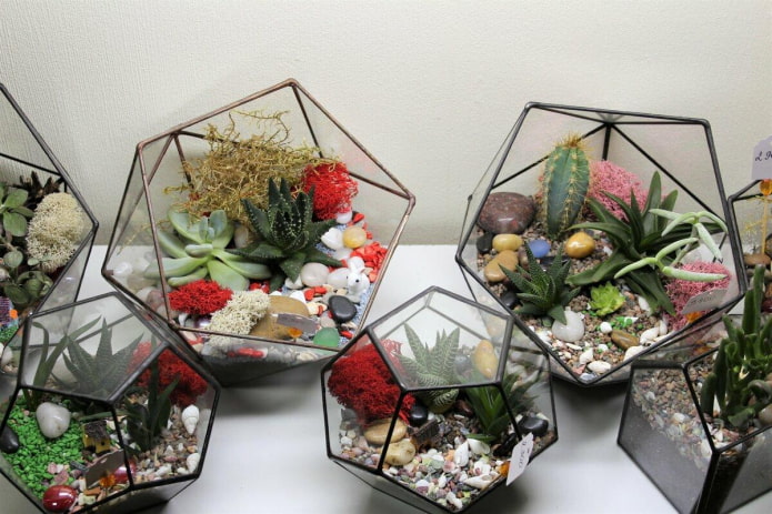 florarium