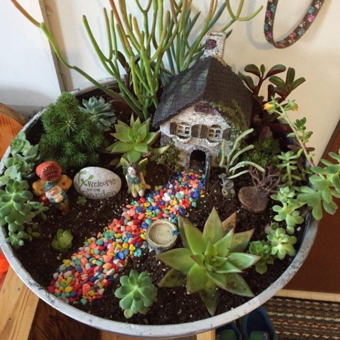 succulentes avec figurines