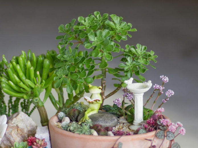 succulentes avec figurines