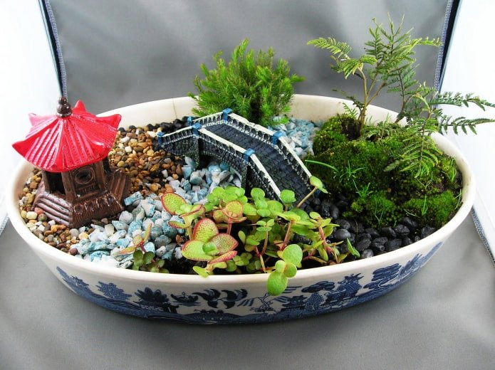 succulentes avec figurines