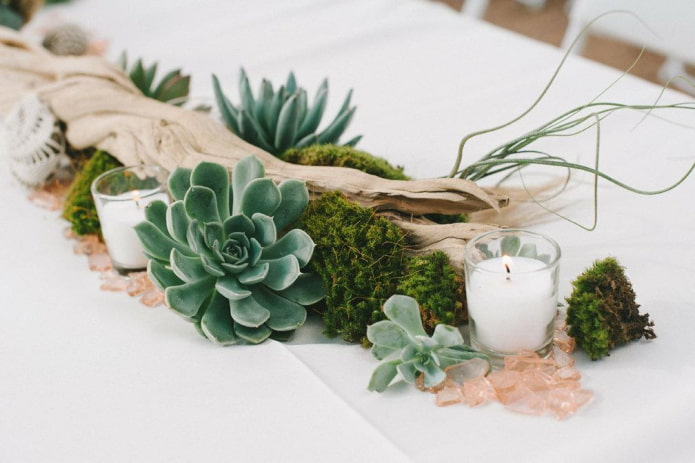 décoration de table
