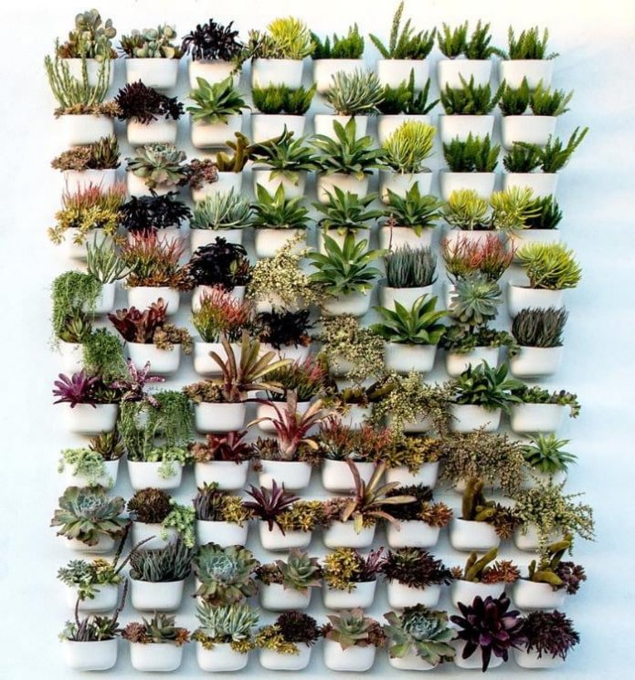 wall composition