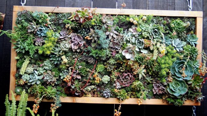 phytopainting