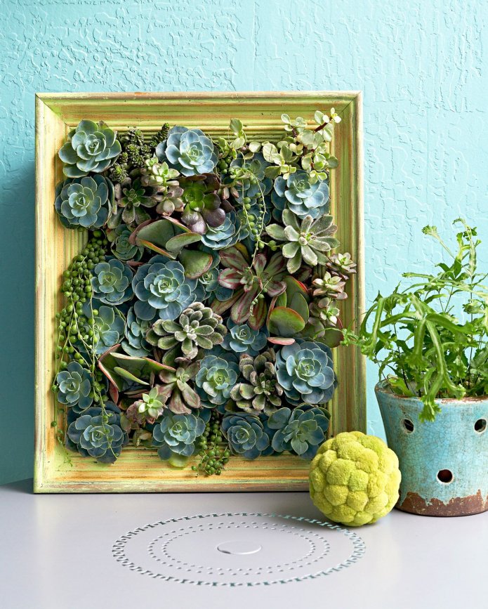 peinture à partir de plantes succulentes