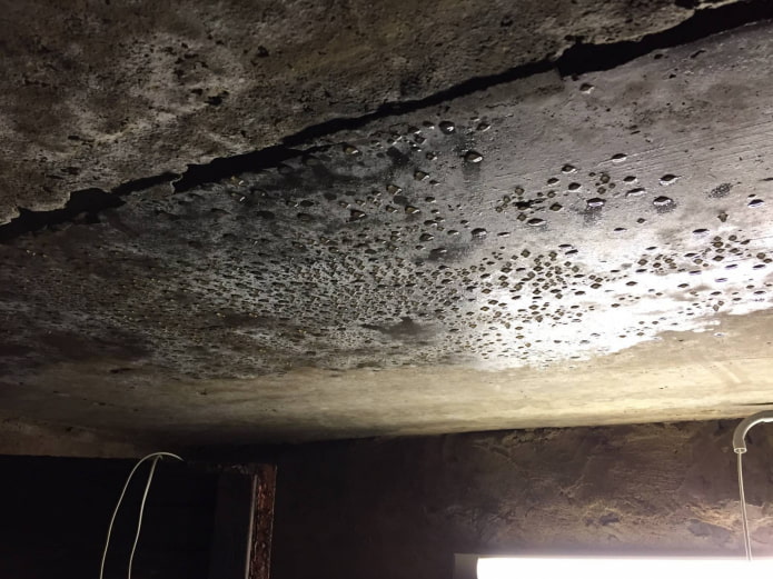 Condensation dans la cave