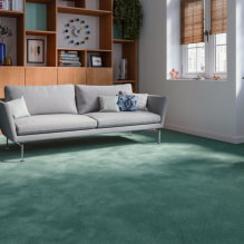 Tapis pour la maison - recommandations de choix-5