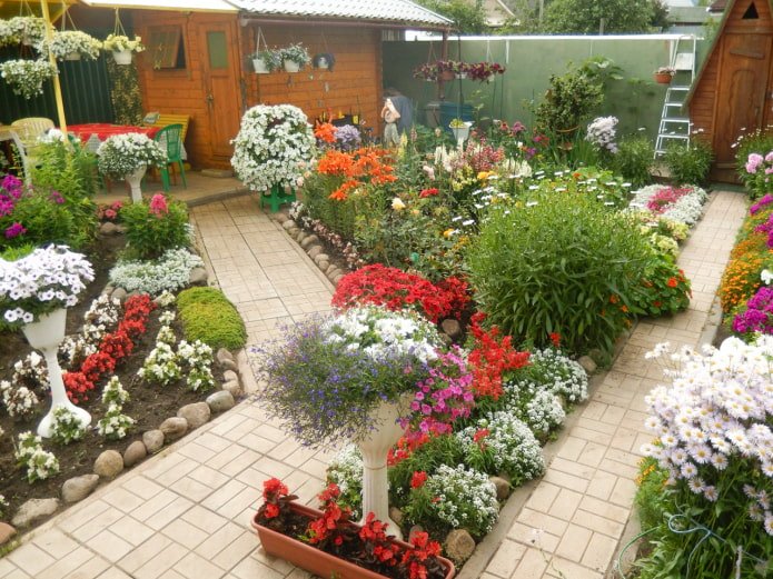 Jardin sur le terrain